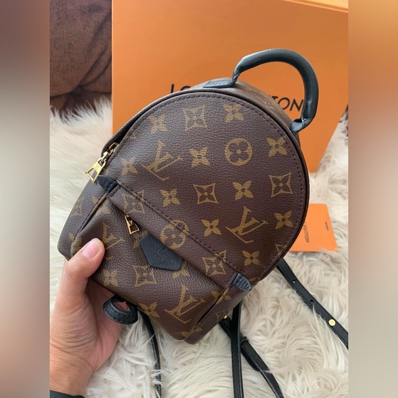 Louis Vuitton Palms Spring Mini - Picture 2 of 16